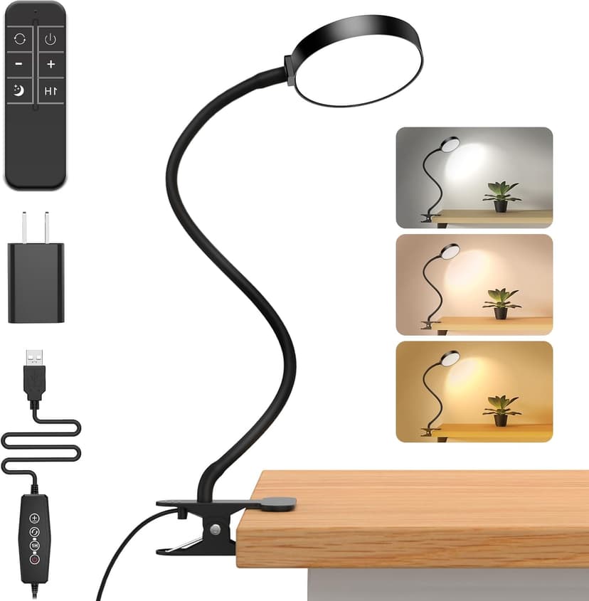 Clip on desk lamp for reading.