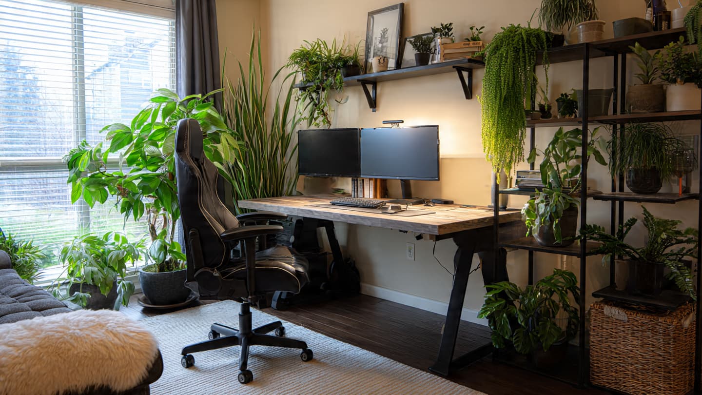 Nature Inspired Desk Setup 4