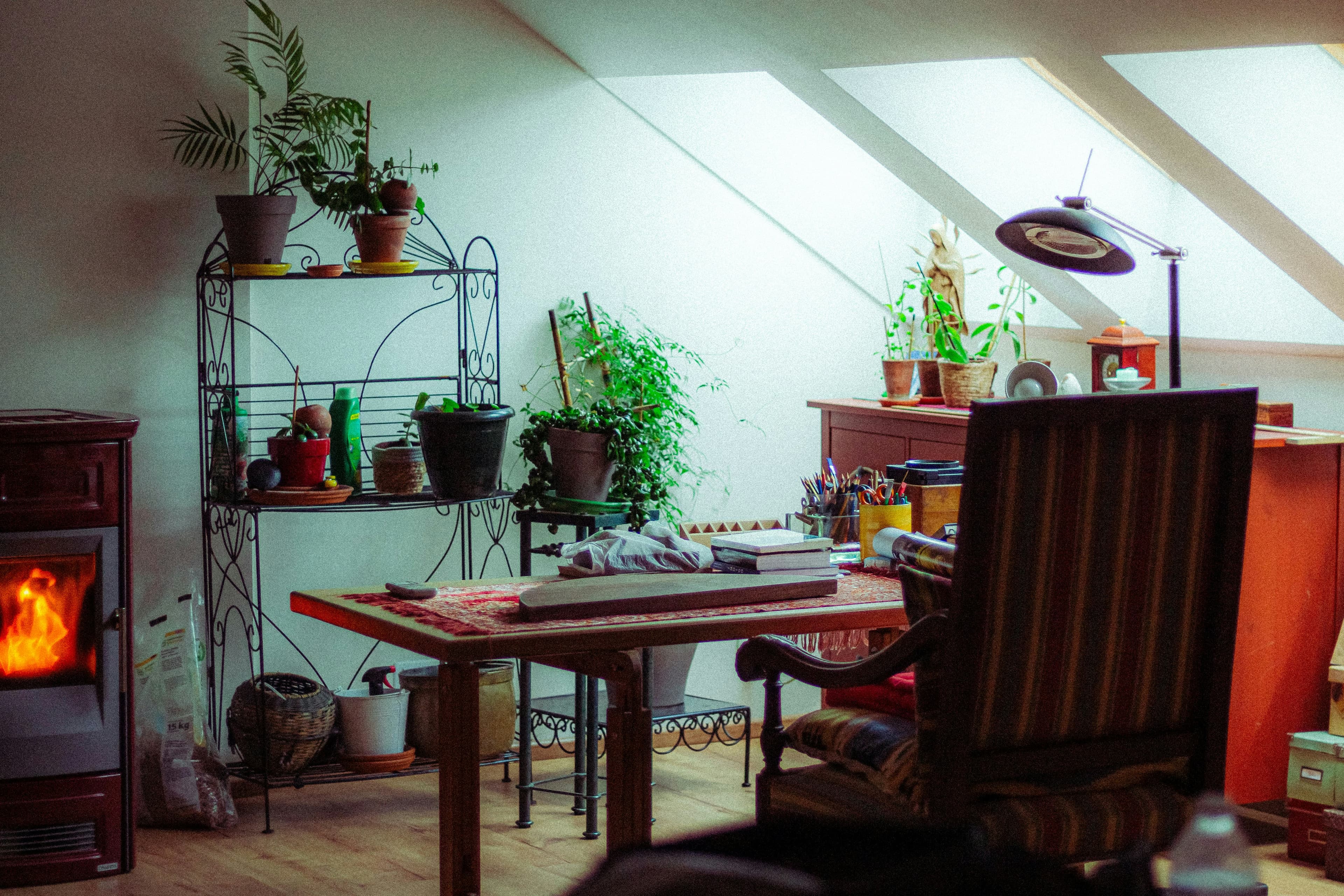 Nature-Inspired desk setup